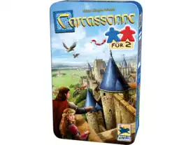 Carcassonne (Nintendo DS) | Nintendo | Fandom