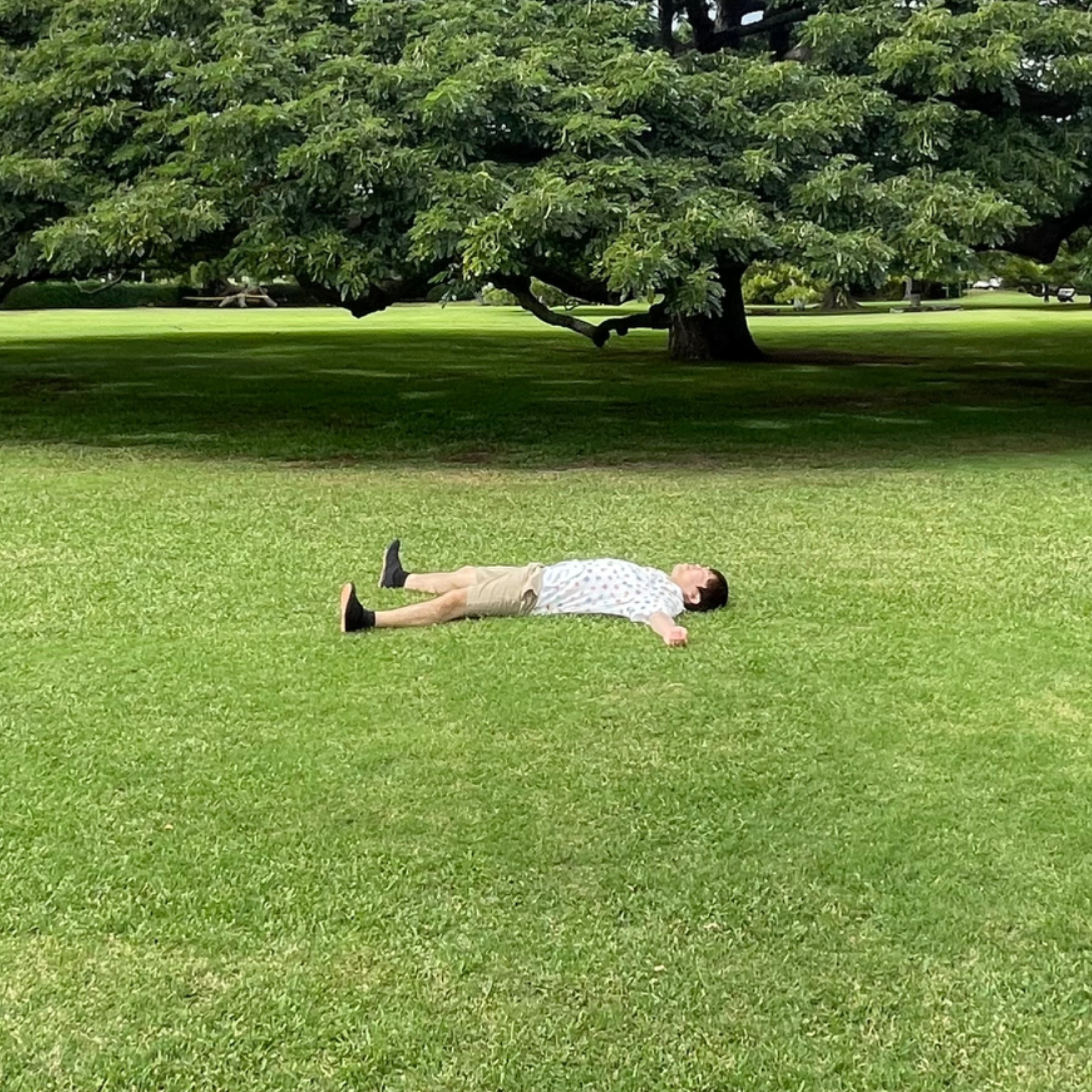 こうへい