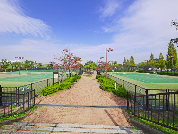 都営 舎人公園のテニスコート情報 テニスベア